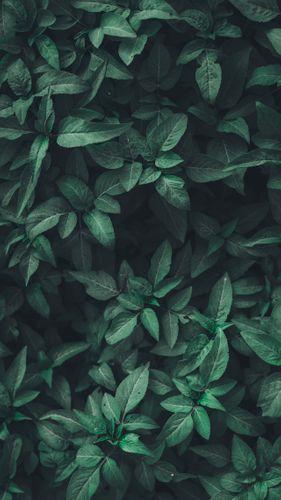 Nahil Naseer Xljtgz2 P3Y Unsplash