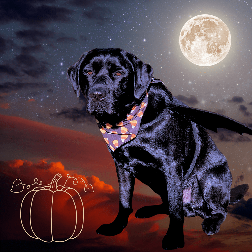Archerhalloweenedit Min