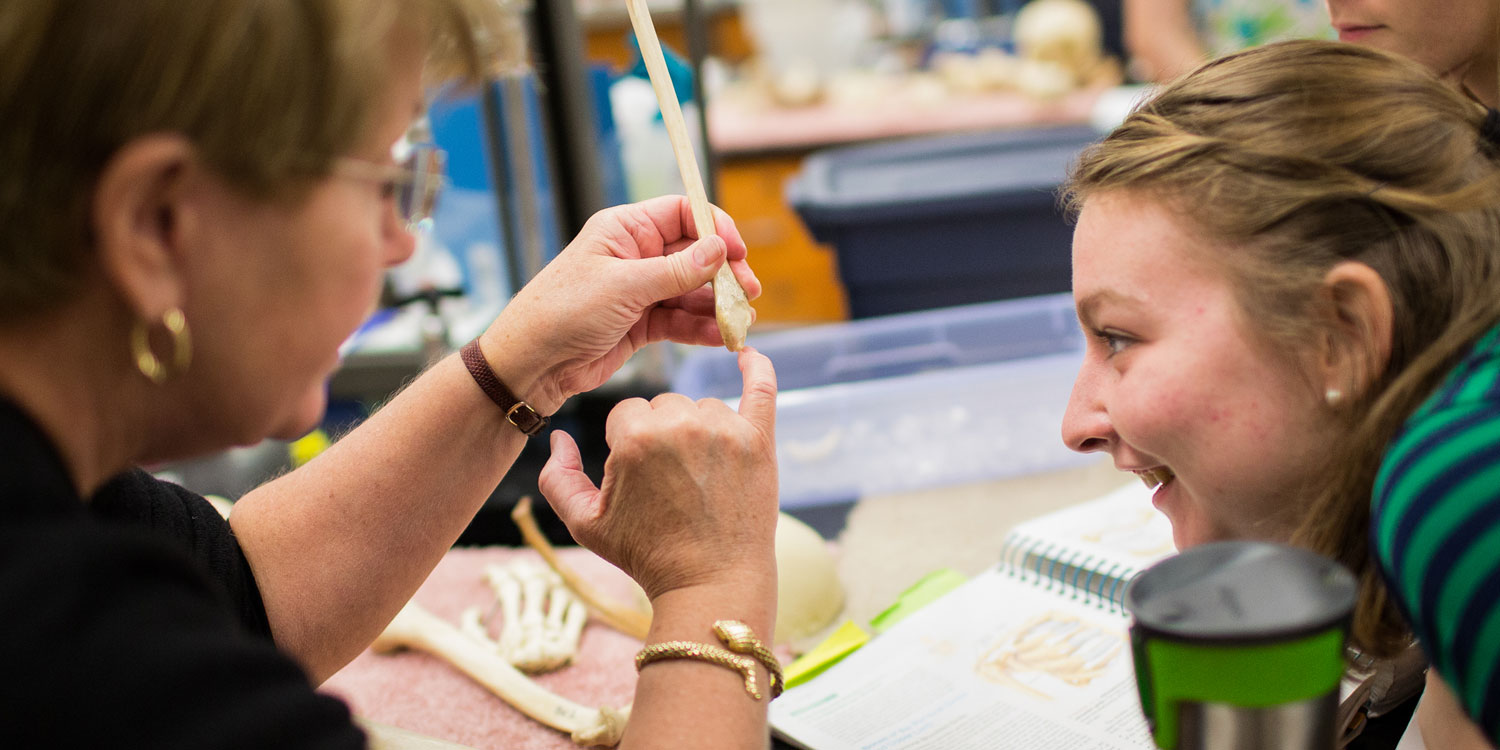 A student and professor examine a bone