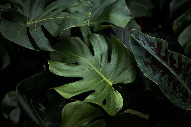 Malte Michels S4wgzw3uulk Unsplash